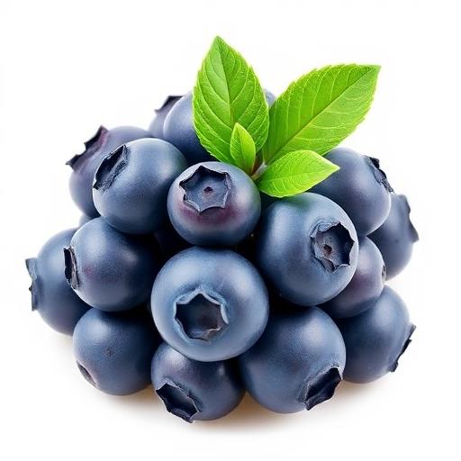 Blueberry