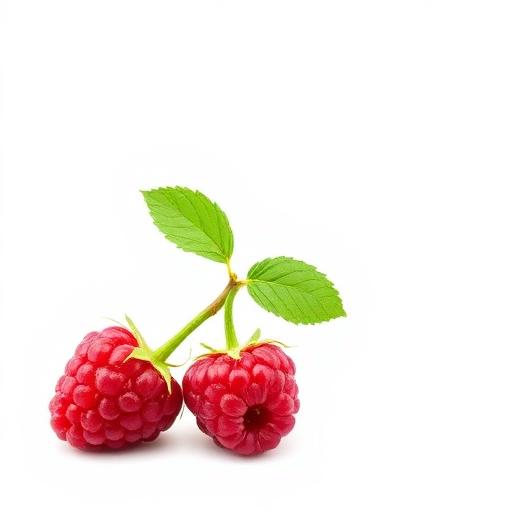 Raspberry